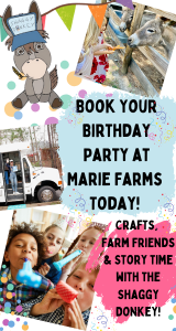Marie Farms Shaggy Donkey Birthday Parties